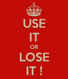 Use It or Lose It poster