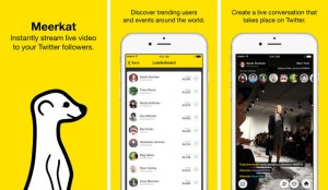 3043404-inline-i-1-meerkat-video-app