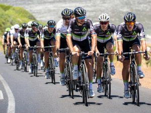 a team of pro cyclists in action