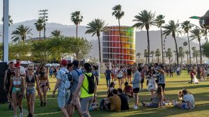 fans mingle on grassy lawn at music festival