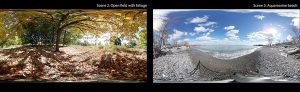 side-by-side outdoor scenes in VR video