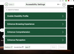 screen grab shows accessibility settings menu