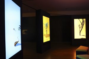 large digital screens show imaginative plants, flowers and flora.