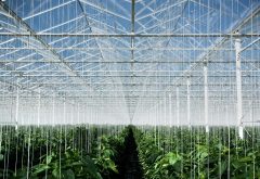indoor farming systems