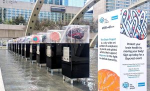 outdoor art exhibit of painted brains in Toronto