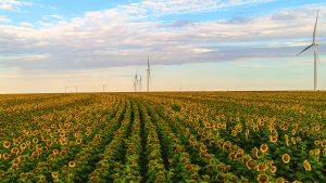 wind mills seen in farmland setting under blue skies