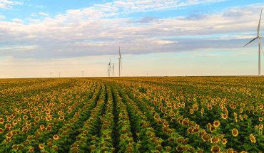 wind mills seen in farmland setting under blue skies