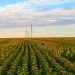 wind mills seen in farmland setting under blue skies