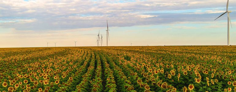 wind mills seen in farmland setting under blue skies