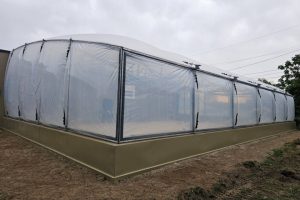 large greenhouse
