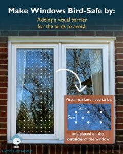 windows made safe example