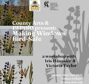 poster promoting bird safe window workshop
