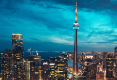 Toronto skyline at night, buildings with brightly-lit windows