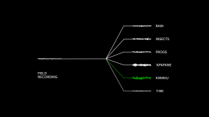 Perch audio waves illustration