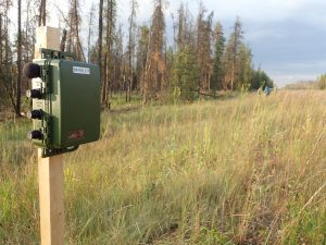 an ARU bioacoustic unit is mounted on a pole in Alberta's open grassland area